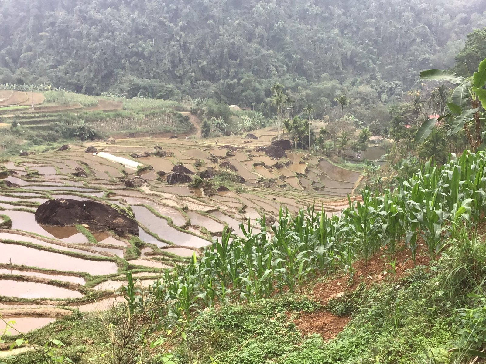 E-Bike Cycling Tour: Hanoi - Ba Be - Ha Giang 7 Days